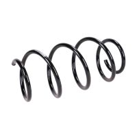 Fahrwerksfeder vorne