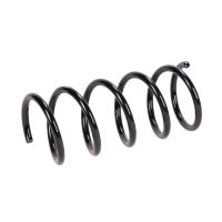 Fahrwerksfeder hinten