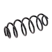 Fahrwerksfeder hinten