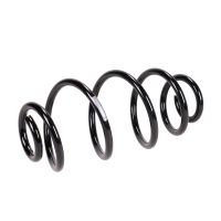 Fahrwerksfeder hinten