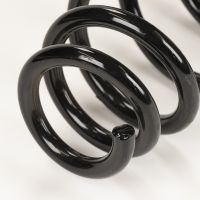 Spiralfeder Sport Plus