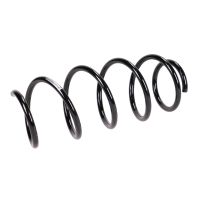 Fahrwerksfeder vorne