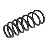 Fahrwerksfeder hinten