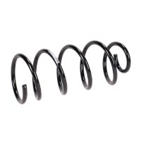 Fahrwerksfeder hinten