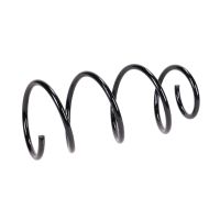 Fahrwerksfeder hinten