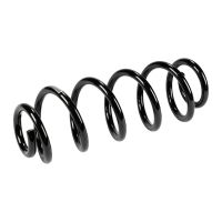 Fahrwerksfeder hinten