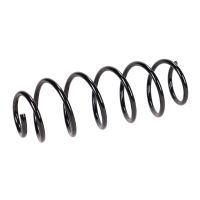 Fahrwerksfeder hinten