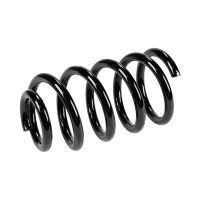 Fahrwerksfeder hinten