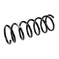 Fahrwerksfeder hinten