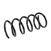 Fahrwerksfeder hinten