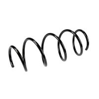 Fahrwerksfeder vorne