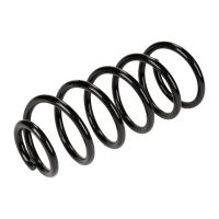 Fahrwerksfeder hinten