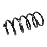 Fahrwerksfeder hinten