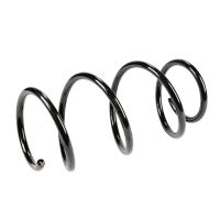 Fahrwerksfeder vorne