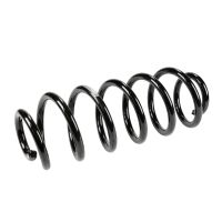 Fahrwerksfeder hinten