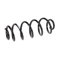 Fahrwerksfeder hinten