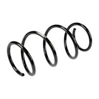 Fahrwerksfeder vorne