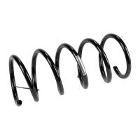 Fahrwerksfeder hinten