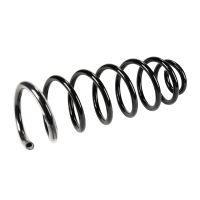 Fahrwerksfeder hinten