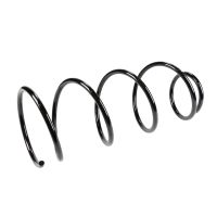 Fahrwerksfeder vorne