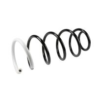 Fahrwerksfeder vorne