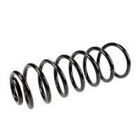 Fahrwerksfeder hinten