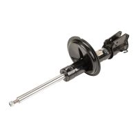 Stoßdämpfer vorne rechts / links