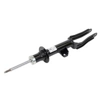 Stoßdämpfer vorne links