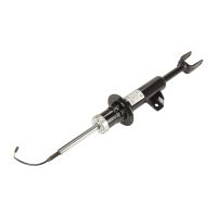 Stoßdämpfer vorne links