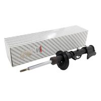 Stoßdämpfer hinten