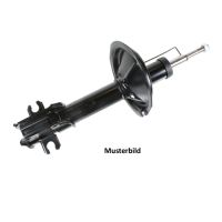 Stoßdämpfer hinten