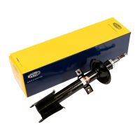 Stoßdämpfer hinten