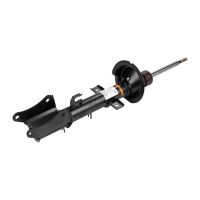 Stoßdämpfer hinten