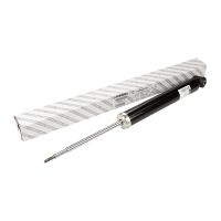 Stoßdämpfer hinten