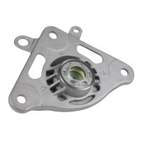 Federbeinstützlager hinten rechts