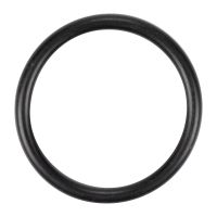 O-Ring für Heizungsgebläsemotor 46mm Innendurchmesser / 5mm dick