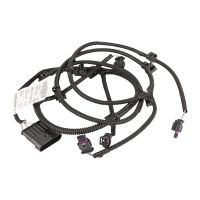 Kabelstrang für die Parksensoren hinten