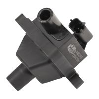 Zündspule für Einzelzündung