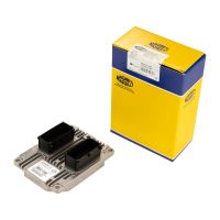 Einspritzanlagensteuergerät Motormanagement