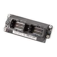 Einspritzanlagensteuergerät Motormanagement