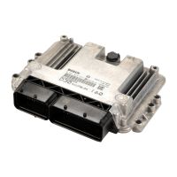 Einspritzanlagensteuergerät Motormanagem