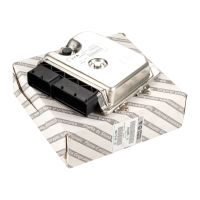 Motorsteuergerät Einspritzanlage