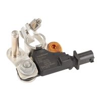 Steuergerät für die Batterie