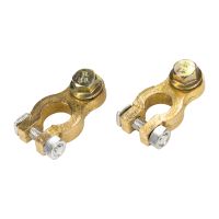 Batterieklemme Polklemme Minus Plus Pol M10 Set