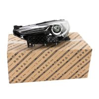 Scheinwerfer vorne links