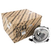 Scheinwerfer vorne links