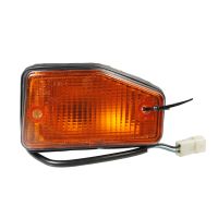 Blinkleuchte vorne rechts