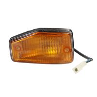 Blinkleuchte vorne links