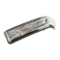 Blinkerkappe links weiß im Spiegel