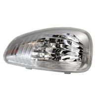 Blinkerkappe rechts weiß im Spiegel